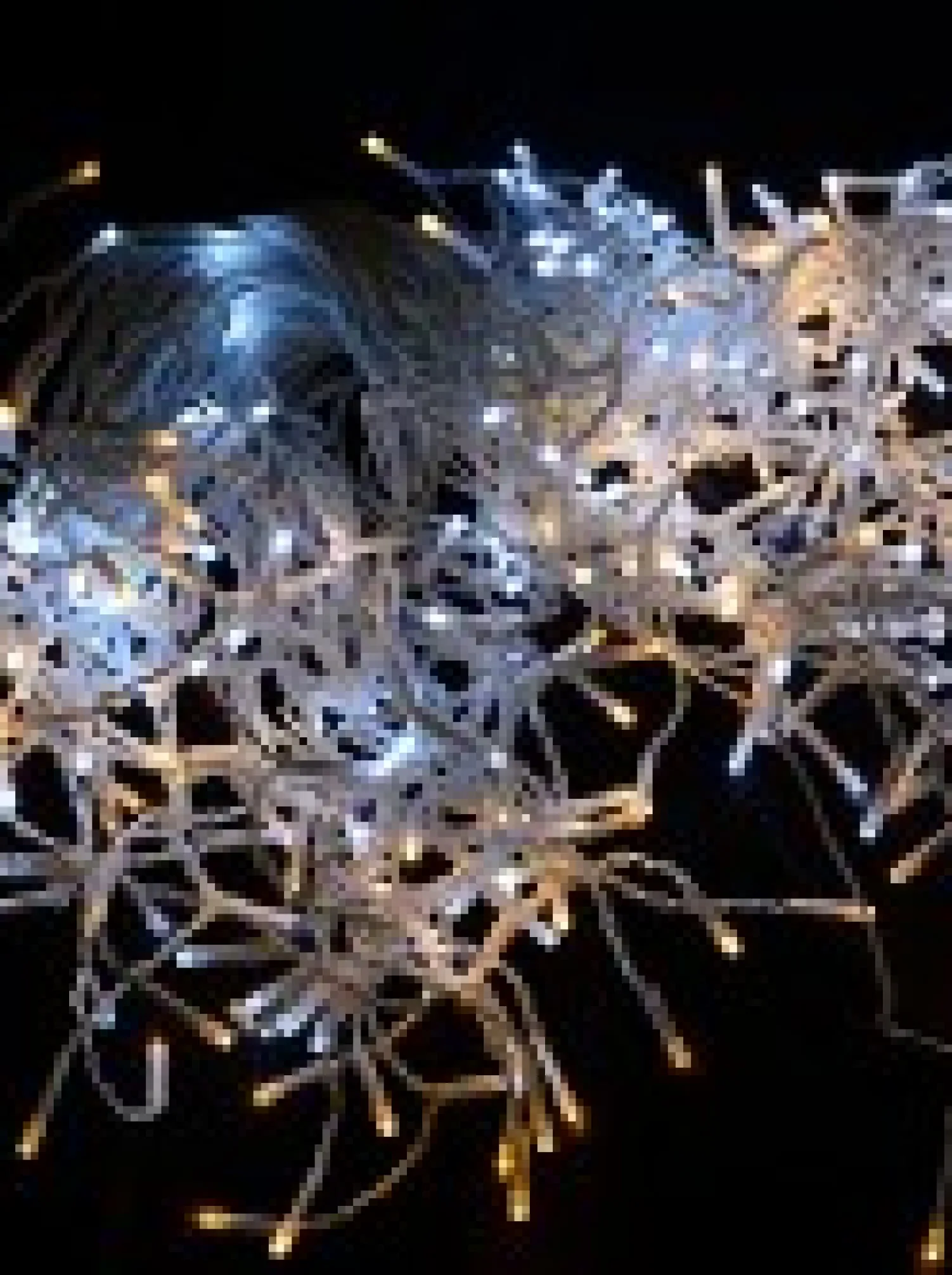 Christmas Warehouse 420 Warm & Cool White Concave Bulb Led Christmas Icicle String Light - 10M> Icicle Lights