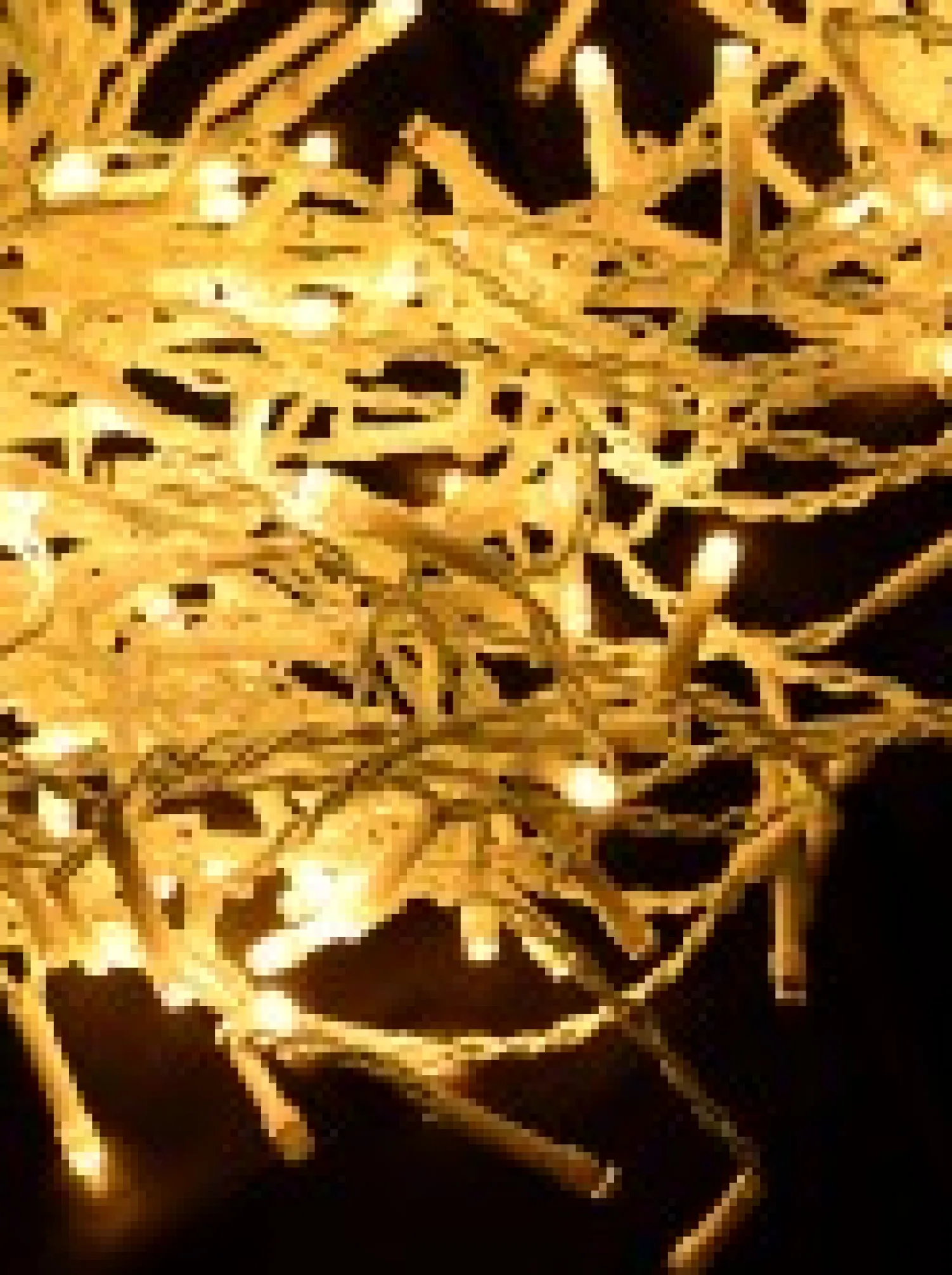 Christmas Warehouse 420 Warm White Concave Bulb Led Christmas Icicle String Light - 10M> Icicle Lights
