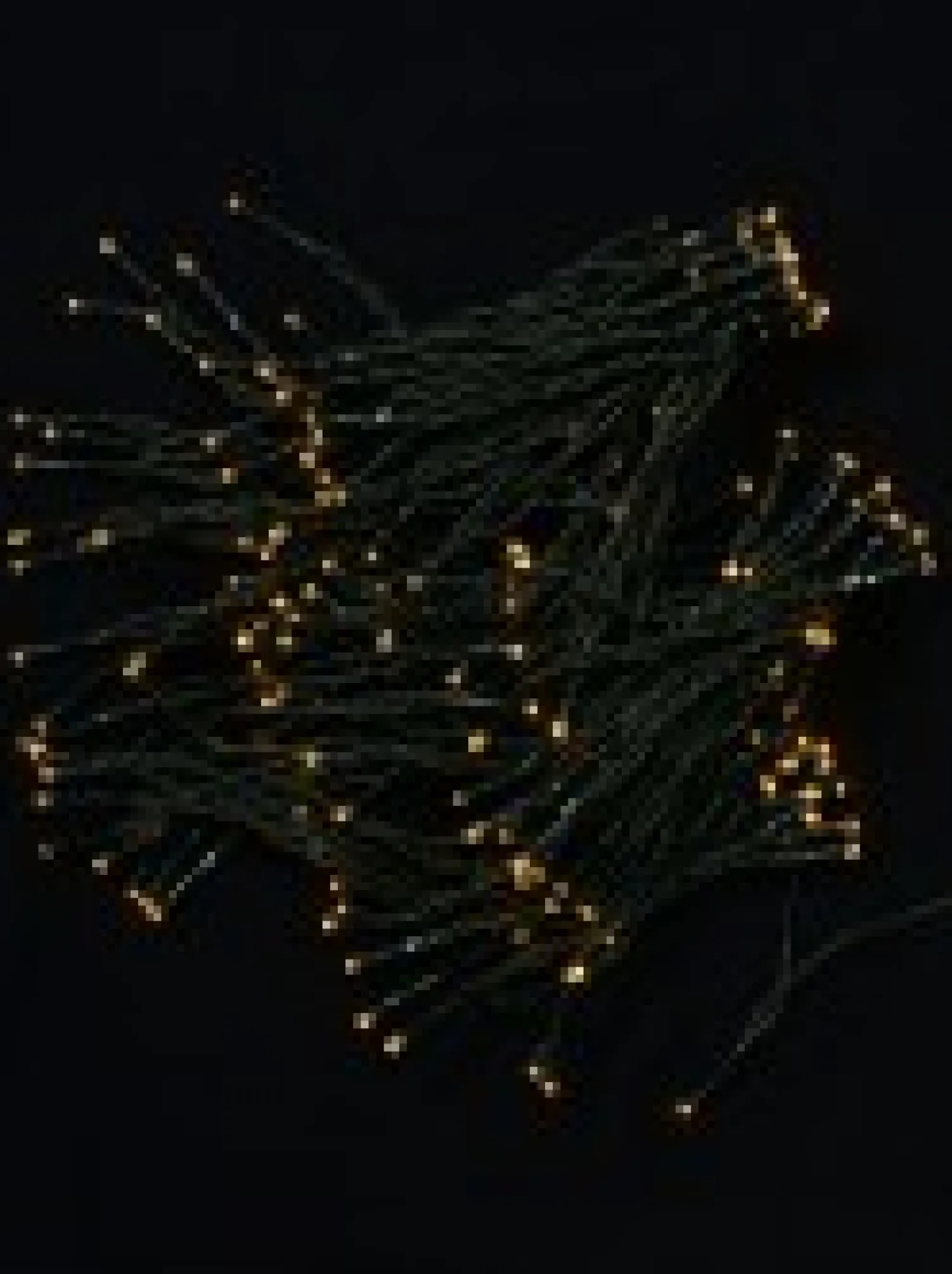 Christmas Warehouse 200 Warm White Concave Led Bulb Solar Powered String Fairy Lights - 20M> Led Fairy Lights