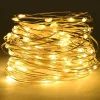 Christmas Warehouse 100 Warm White Micro Led Seed Bulb Christmas Wire Battery Lights - 10M> Battery Operated Lights