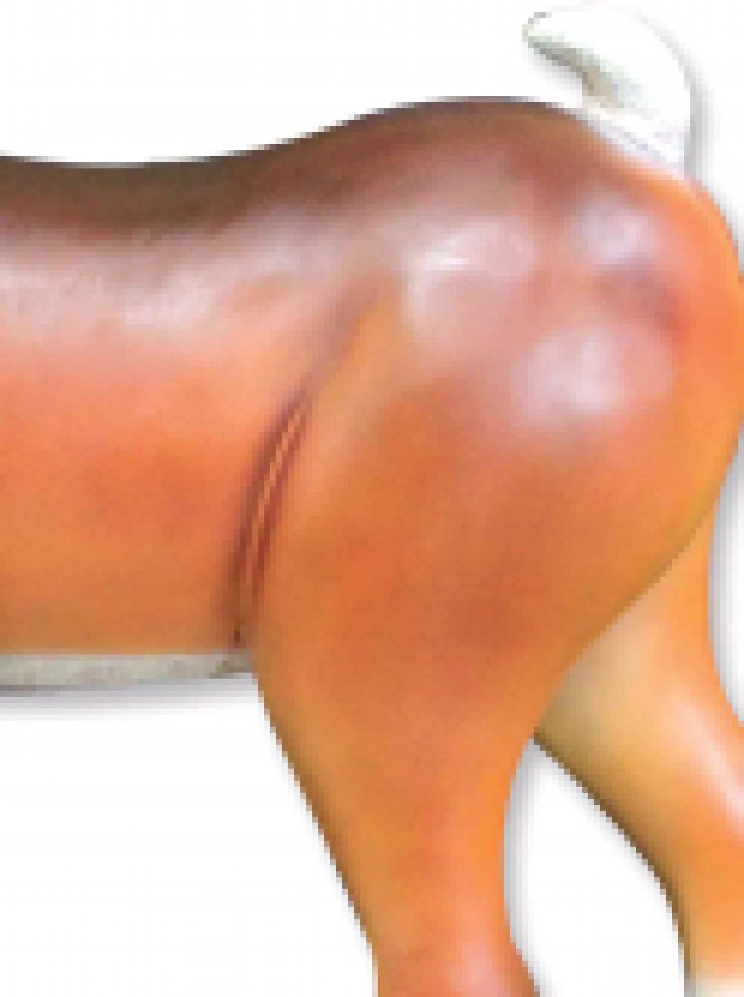 Christmas Warehouse Cute Standing Resin Reindeer Life Size Christmas Decoration Ornament - 1.1M> Large Christmas Decor