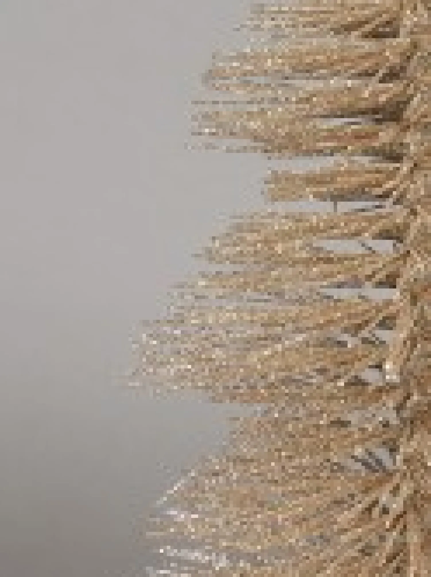 Christmas Warehouse Glittered Champagne Spiral Pine Needle Christmas Table Top Tree - 20Cm> Table Top Christmas Trees