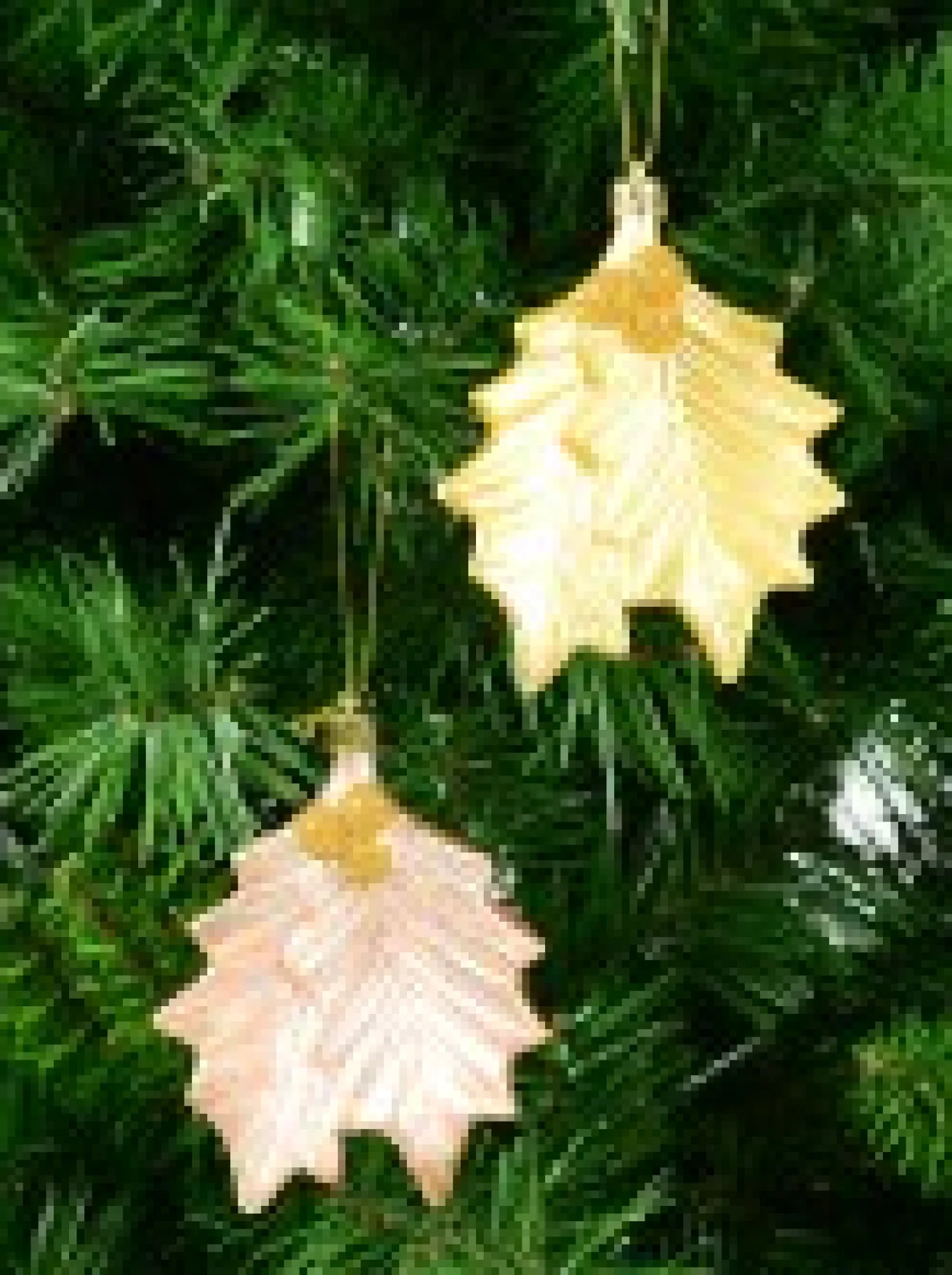 Christmas Warehouse Gold & Light Rose Gold Mistletoe Leaves Tree Hanging Decorations - 2 X 12Cm> Hanging Decorations - Packs