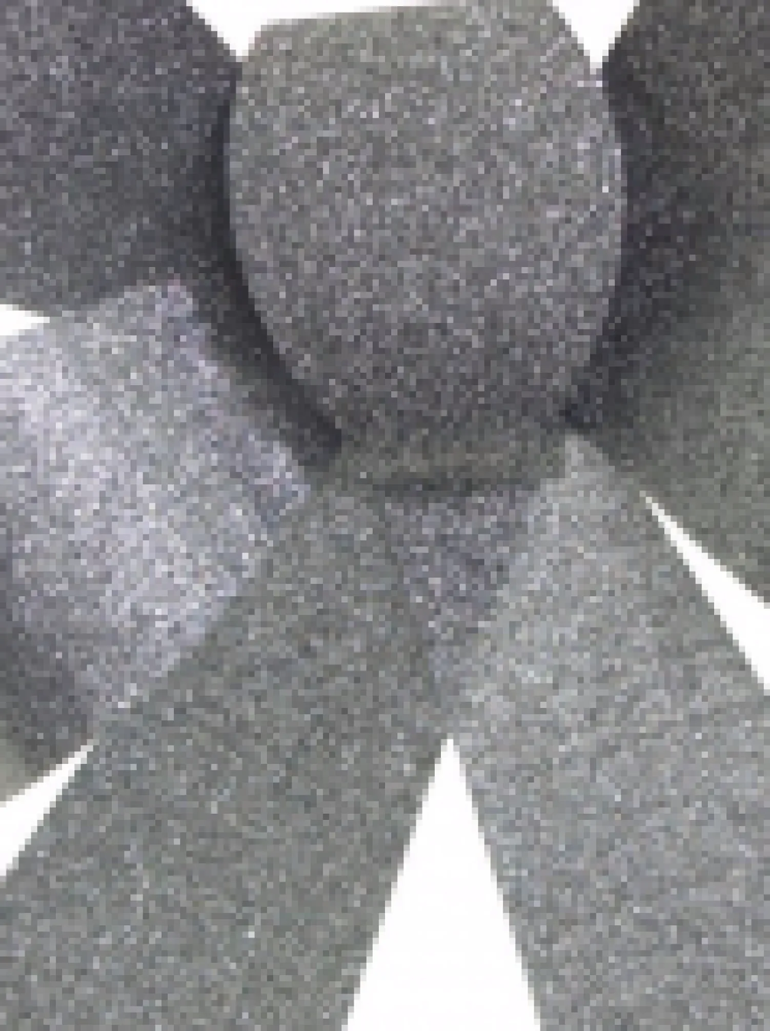 Christmas Warehouse Silver Glitter Pvc Christmas Tree Bow Decoration - 24Cm> Christmas Bows
