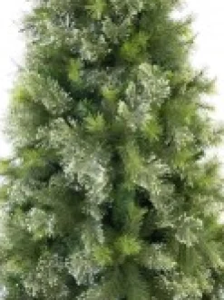 Christmas Warehouse Stratford Mixed Pine Traditional Christmas Tree With 1129 Tips - 1.8M> Traditional Christmas Trees